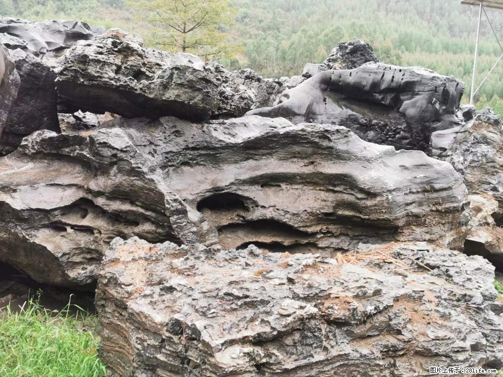 风景石、假山石大量有货，有需要的欢迎联系 - 新手上路 - 廊坊生活社区 - 廊坊28生活网 lf.28life.net