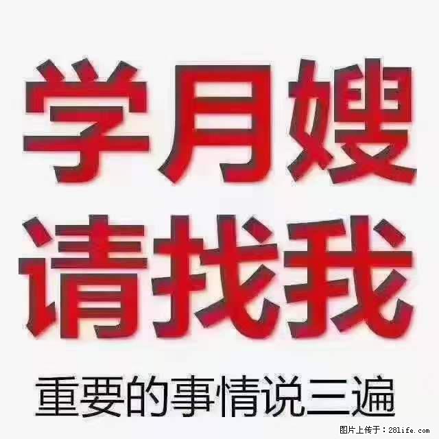 为什么要学习月嫂，育婴师？ - 其他广告 - 广告专区 - 廊坊分类信息 - 廊坊28生活网 lf.28life.net
