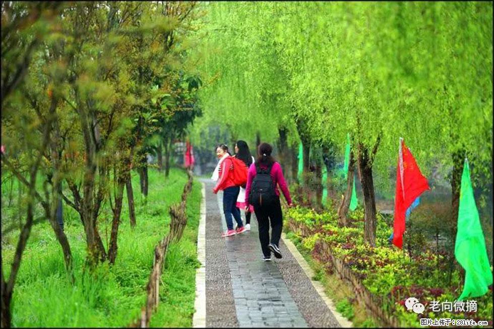 【春天，广西桂林灌阳县向您发出邀请！】江口老街又逢春 - 游山玩水 - 廊坊生活社区 - 廊坊28生活网 lf.28life.net