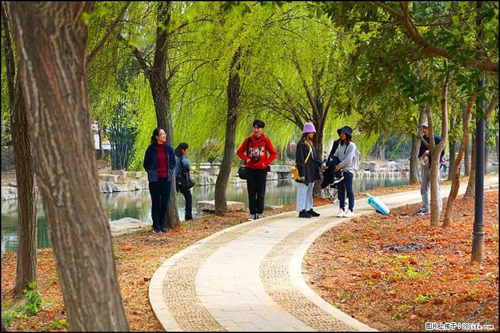 【春天，广西桂林灌阳县向您发出邀请！】江口老街又逢春 - 游山玩水 - 廊坊生活社区 - 廊坊28生活网 lf.28life.net