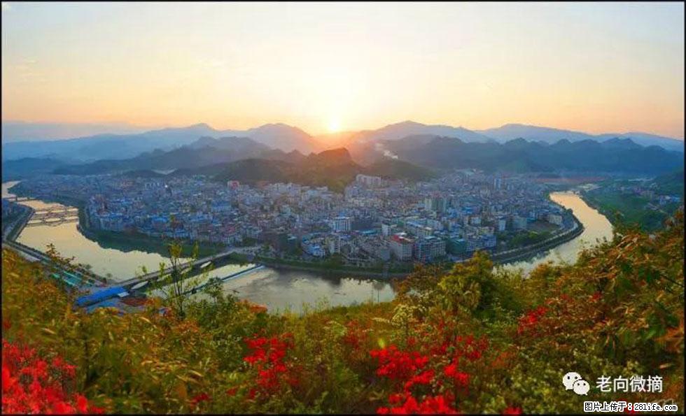 【春天，广西桂林灌阳县向您发出邀请！】登麒麟山，相约映山红 - 游山玩水 - 廊坊生活社区 - 廊坊28生活网 lf.28life.net