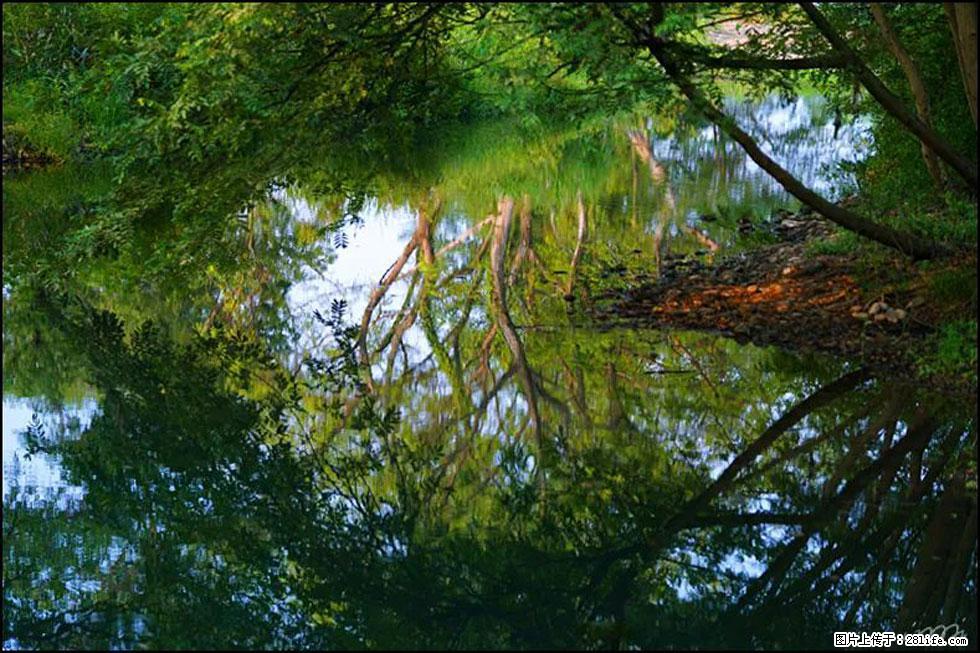 【春天，广西桂林灌阳县向您发出邀请！】熊家寨湿地公园 - 游山玩水 - 廊坊生活社区 - 廊坊28生活网 lf.28life.net