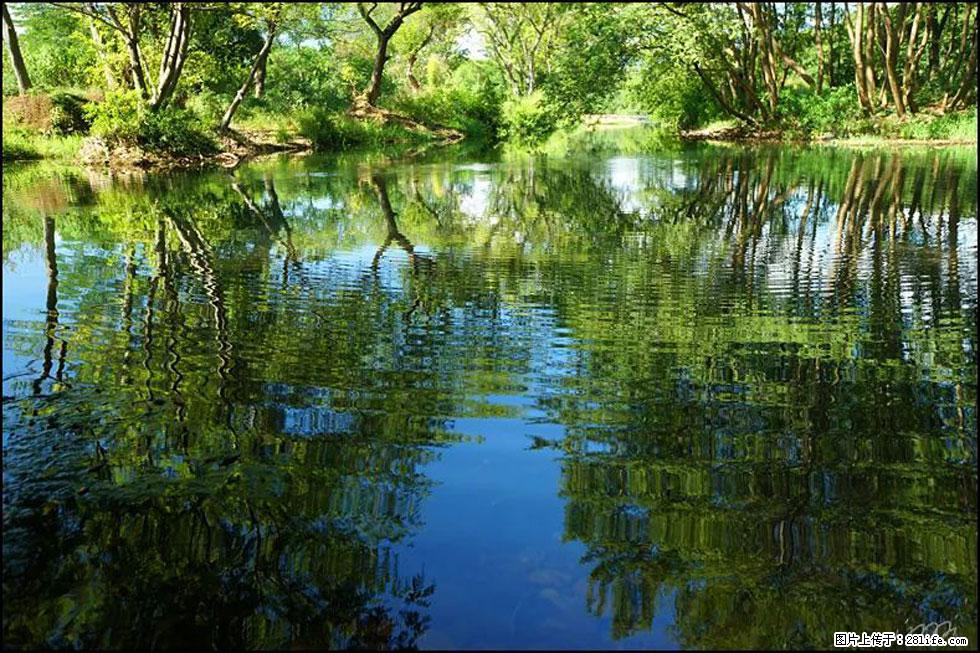 【春天，广西桂林灌阳县向您发出邀请！】熊家寨湿地公园 - 游山玩水 - 廊坊生活社区 - 廊坊28生活网 lf.28life.net