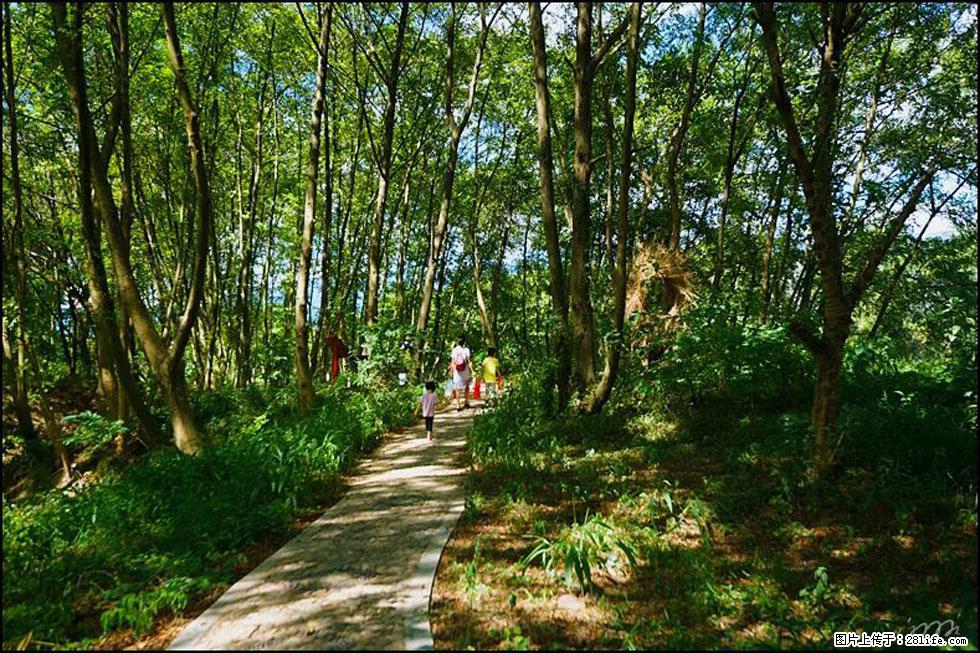 【春天，广西桂林灌阳县向您发出邀请！】熊家寨湿地公园 - 游山玩水 - 廊坊生活社区 - 廊坊28生活网 lf.28life.net