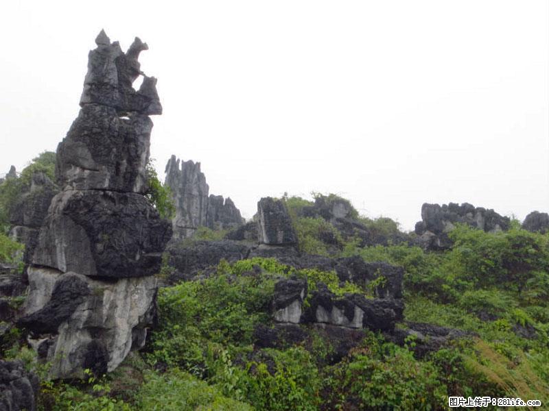 桂林旅游名城景点：灌阳文市石林 - 游山玩水 - 廊坊生活社区 - 廊坊28生活网 lf.28life.net