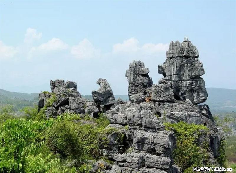 桂林旅游名城景点：灌阳文市石林 - 游山玩水 - 廊坊生活社区 - 廊坊28生活网 lf.28life.net