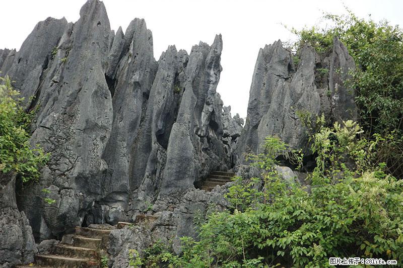 桂林旅游名城景点：灌阳文市石林 - 游山玩水 - 廊坊生活社区 - 廊坊28生活网 lf.28life.net