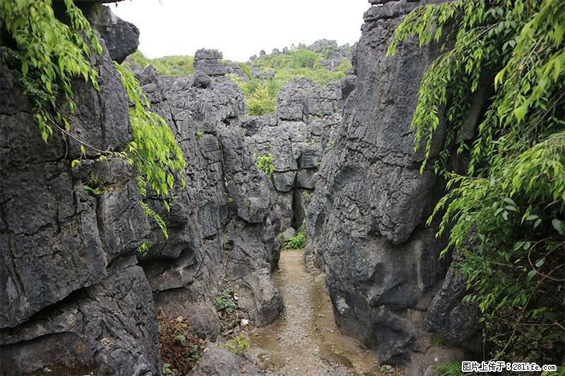桂林旅游名城景点：灌阳文市石林 - 游山玩水 - 廊坊生活社区 - 廊坊28生活网 lf.28life.net