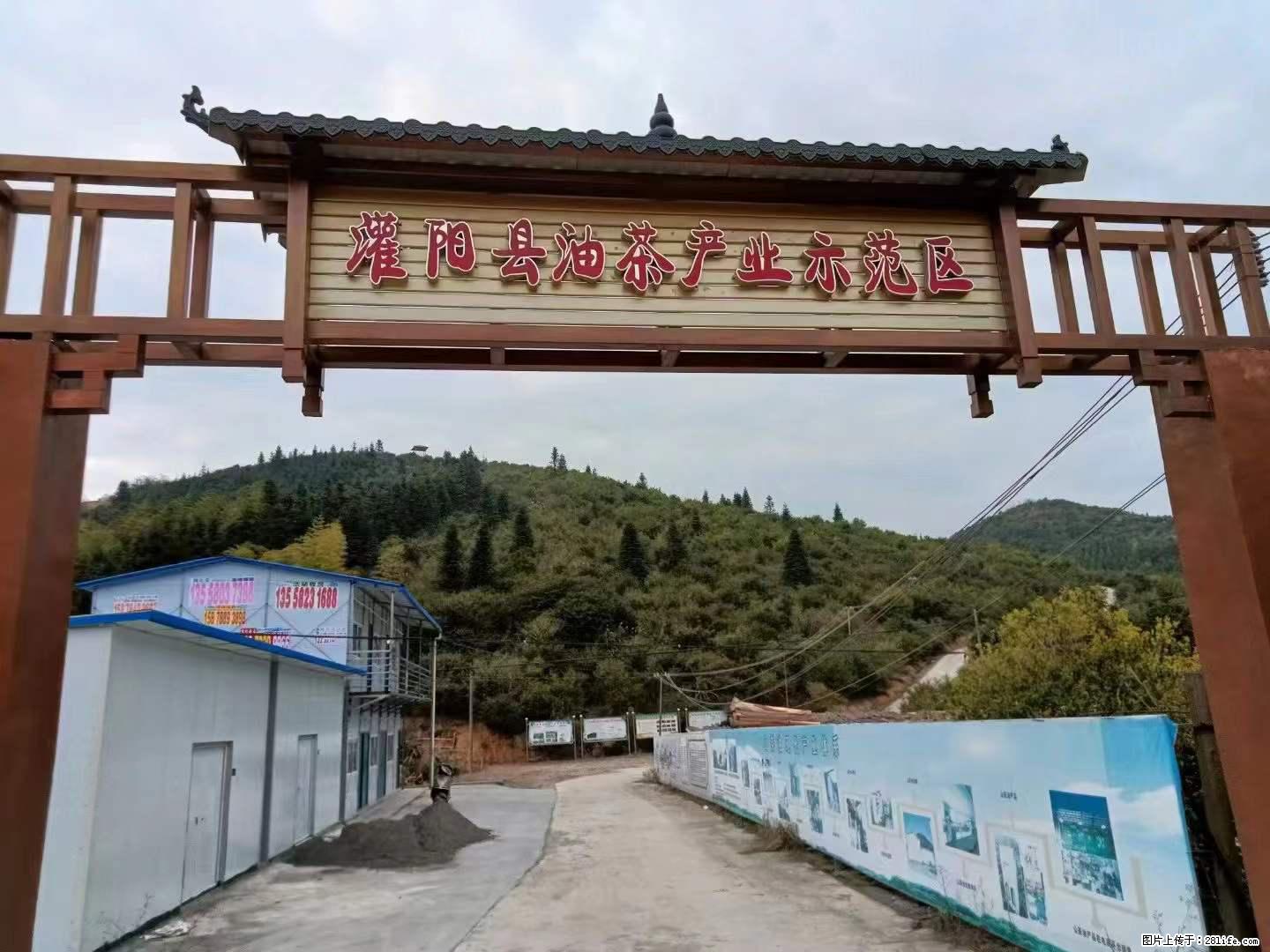 【灌阳县油茶产业示范区】一个有着充实的精神生活的人，对待身外之物自会有一种淡泊的态度 - 美食天地 - 廊坊生活社区 - 廊坊28生活网 lf.28life.net