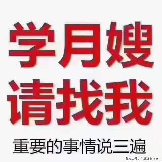 为什么要学习月嫂，育婴师？ - 廊坊28生活网 lf.28life.net