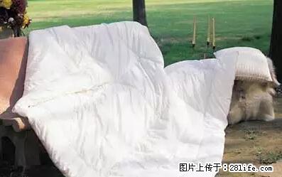 被子有异味？只要这样做，比晒太阳还强100倍！ - 家居生活 - 廊坊生活社区 - 廊坊28生活网 lf.28life.net
