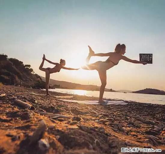 辞掉工作周游世界？现在他们在洗厕所…… - 游山玩水 - 廊坊生活社区 - 廊坊28生活网 lf.28life.net