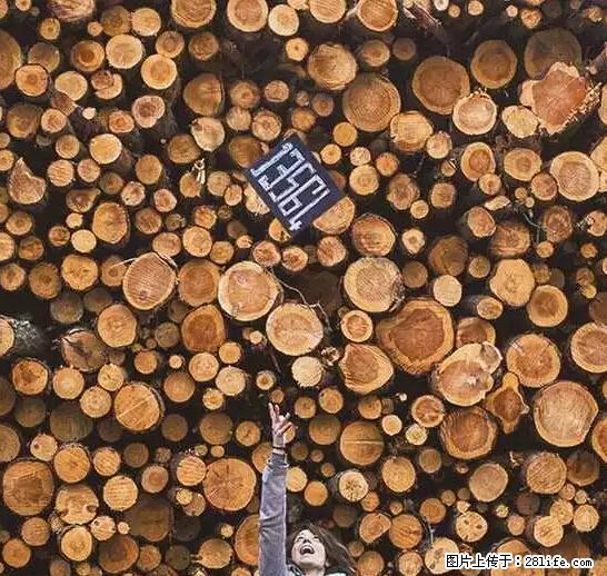 辞掉工作周游世界？现在他们在洗厕所…… - 游山玩水 - 廊坊生活社区 - 廊坊28生活网 lf.28life.net