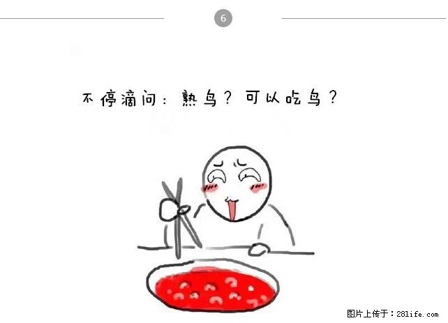 千万不要和这9种哈卵一起吃火锅！ - 美食天地 - 廊坊生活社区 - 廊坊28生活网 lf.28life.net