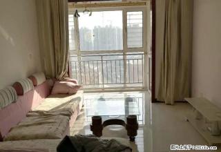 红星紫郡小区精装2室出租 - 廊坊28生活网 lf.28life.net