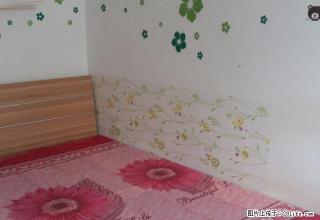 幸福城雅园温馨小公寓+家具家电齐全拎包入住 - 廊坊28生活网 lf.28life.net