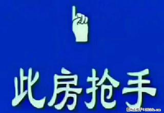 裕华路 九小 明珠 万向城 西务周转楼 - 廊坊28生活网 lf.28life.net