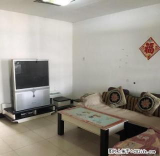 帼华屯 成熟小区 中装2室 家具家电齐全 可拎包入住 - 廊坊28生活网 lf.28life.net