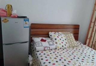 港中地产 丹凤公园附近 中装 拎包入住 看房便利 - 廊坊28生活网 lf.28life.net