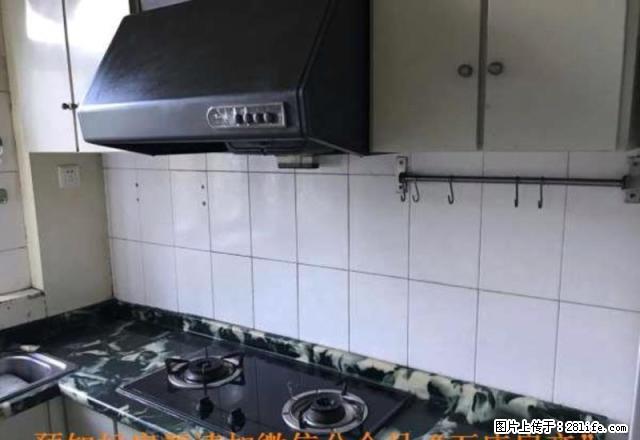 万庄石油万乐小区 拎包入住 1000 - 房屋出租 - 房屋租售 - 廊坊分类信息 - 廊坊28生活网 lf.28life.net