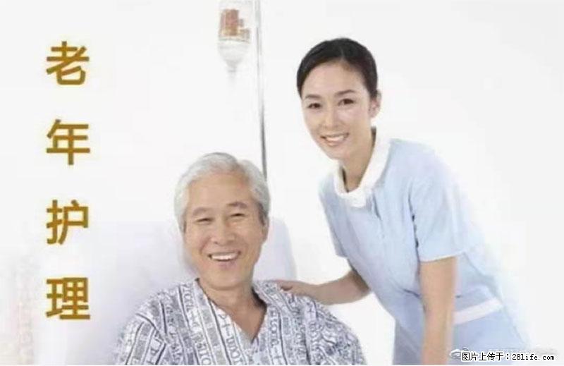 上海国企养老院，星级酒店环境，招聘养老护工 - 职场交流 - 廊坊生活社区 - 廊坊28生活网 lf.28life.net