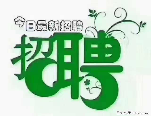 【招聘摄像师】待遇：试用期6000元/月，转正7000元/月+五险一金+餐补+节日福利+奖金 - 其他招聘信息 - 招聘求职 - 廊坊分类信息 - 廊坊28生活网 lf.28life.net