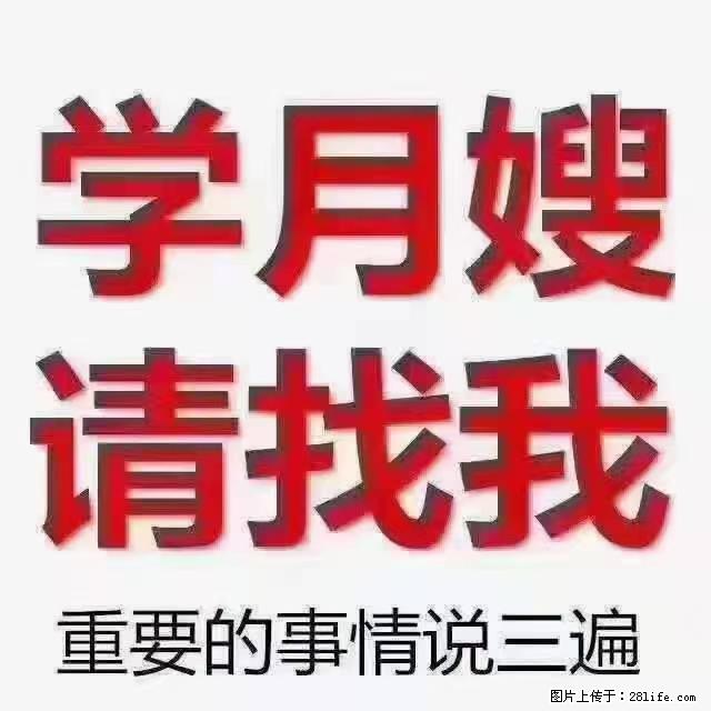 【招聘】月嫂，上海徐汇区 - 职场交流 - 廊坊生活社区 - 廊坊28生活网 lf.28life.net