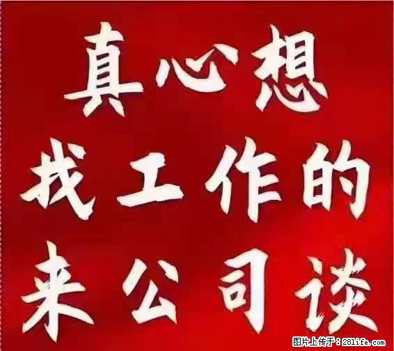 【上海】国企，医院招两名男保安，55岁以下，身高1.7米以上，无犯罪记录不良嗜好 - 职场交流 - 廊坊生活社区 - 廊坊28生活网 lf.28life.net