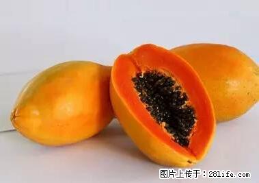 晕车、脚气、牙齿变黄、皮肤粗糙？学会这些三分钟搞定！ - 廊坊生活资讯 - 廊坊28生活网 lf.28life.net