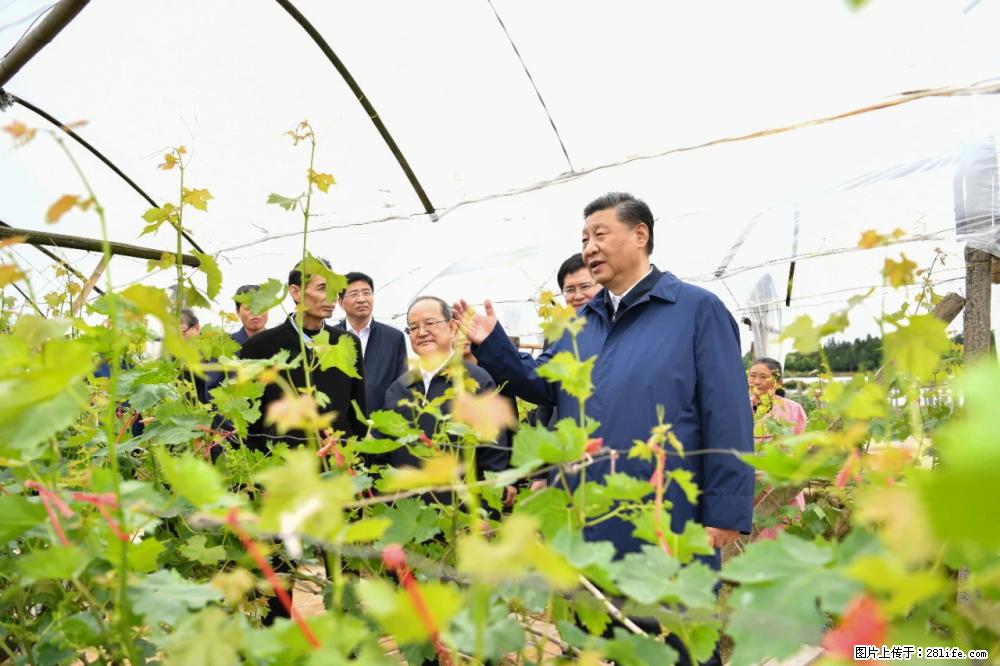 习近平赴广西考察调研 - 廊坊生活资讯 - 廊坊28生活网 lf.28life.net