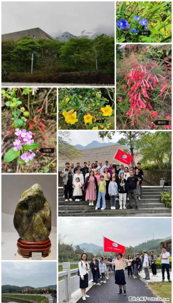 “粤灌文化 美好生活”油茶文化主题活动在广东深圳成功举办 - 廊坊生活资讯 - 廊坊28生活网 lf.28life.net