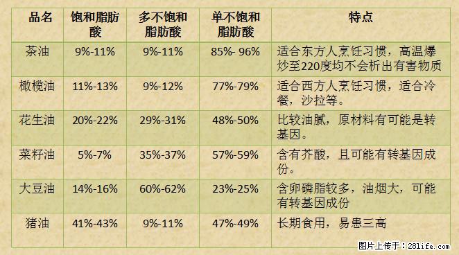 揭秘茶油的5大核心营养成分！被称为人体健康的“守护盾”！ - 廊坊生活资讯 - 廊坊28生活网 lf.28life.net