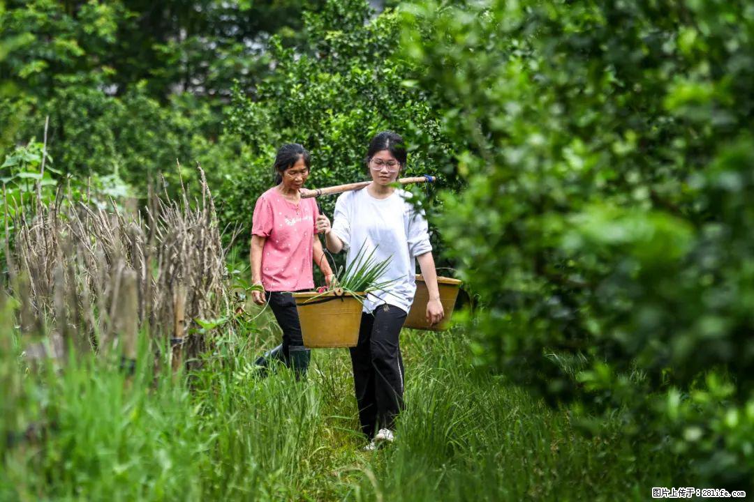 全网追的“扁担女孩”，找了一份暑假工，时薪12元 - 廊坊生活资讯 - 廊坊28生活网 lf.28life.net