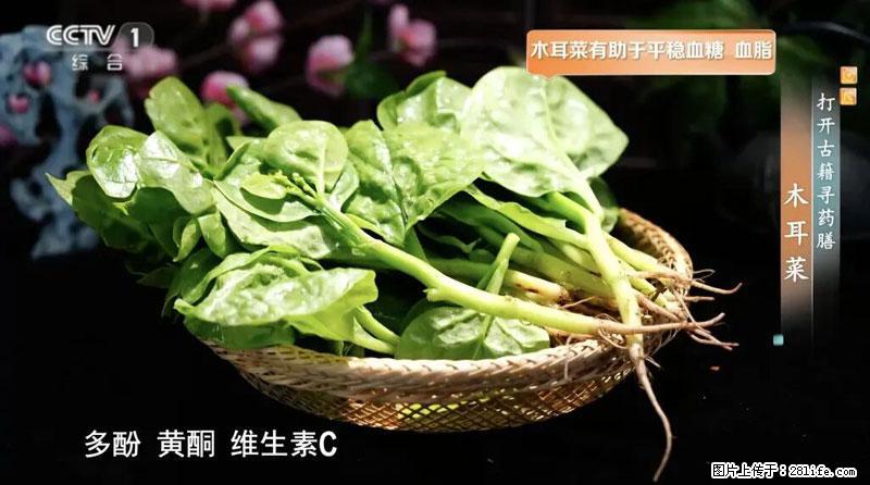 比牛奶补钙还厉害！凉血解毒、稳血糖...这菜冬天必吃，很多人却当草 - 廊坊生活资讯 - 廊坊28生活网 lf.28life.net