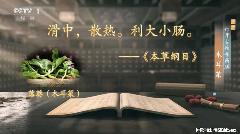 比牛奶补钙还厉害！凉血解毒、稳血糖...这菜冬天必吃，很多人却当草 - 廊坊生活资讯 - 廊坊28生活网 lf.28life.net