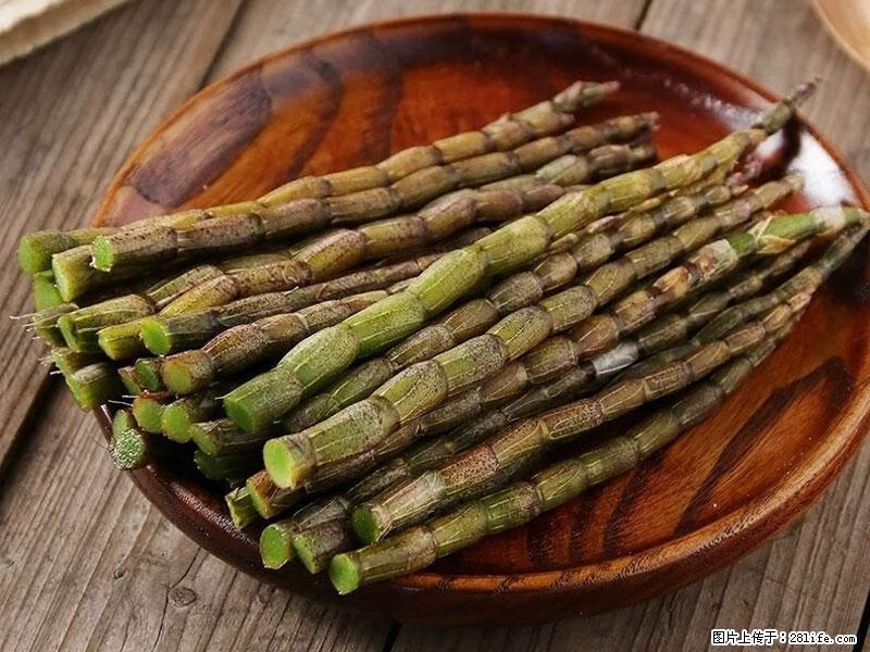 铁皮石斛的作用与功能主治 - 廊坊生活资讯 - 廊坊28生活网 lf.28life.net
