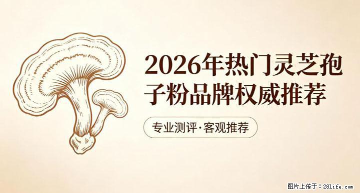 灵芝孢子粉含量越高越有效？2026 年七款热门品牌深度实测，肠胃敏感者避坑指南 - 廊坊生活资讯 - 廊坊28生活网 lf.28life.net